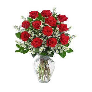 Envio y venta de flores a domicilio en la ciudad de Buenos Aires y localidades del Gran Buenos Aires y delivery con florerias asociadas en todas las provincias de Argentina, Buenos Aires, la Pampa, Tucuman, La Rioja, Rio Negro, Entre Rios, Corrientes, Misiones, Neuquen, Chubut, Tierra del Fuego, Santa Cruz, San Luis, Mendoza, Cordoba, Jujuy, Formosa, Santiago del Estero, Salta, Chaco, Catamarca ,San Juan, y ademas realizamos el delivery de flores ,plantas y regalos a todas las ciudades de Argentina, Mar del Plata, C�rdoba, Buenos Aires, Santa Rosa, La Plata, Bella Vista, Neuquen, Pilar, Parana, Posadas, Resistencia, Cipolleti y mas de 350 ciudades y localidades en todo el territorio de nuestro pais.
