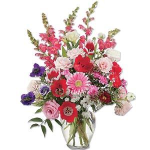 Envio y venta de flores a domicilio en la ciudad de Buenos Aires y localidades del Gran Buenos Aires y delivery con florerias asociadas en todas las provincias de Argentina, Buenos Aires, la Pampa, Tucuman, La Rioja, Rio Negro, Entre Rios, Corrientes, Misiones, Neuquen, Chubut, Tierra del Fuego, Santa Cruz, San Luis, Mendoza, Cordoba, Jujuy, Formosa, Santiago del Estero, Salta, Chaco, Catamarca ,San Juan, y ademas realizamos el delivery de flores ,plantas y regalos a todas las ciudades de Argentina, Mar del Plata, C�rdoba, Buenos Aires, Santa Rosa, La Plata, Bella Vista, Neuquen, Pilar, Parana, Posadas, Resistencia, Cipolleti y mas de 350 ciudades y localidades en todo el territorio de nuestro pais.