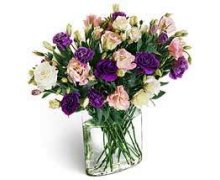 Envio y venta de flores a domicilio en la ciudad de Buenos Aires y localidades del Gran Buenos Aires y delivery con florerias asociadas en todas las provincias de Argentina, Buenos Aires, la Pampa, Tucuman, La Rioja, Rio Negro, Entre Rios, Corrientes, Misiones, Neuquen, Chubut, Tierra del Fuego, Santa Cruz, San Luis, Mendoza, Cordoba, Jujuy, Formosa, Santiago del Estero, Salta, Chaco, Catamarca ,San Juan, y ademas realizamos el delivery de flores ,plantas y regalos a todas las ciudades de Argentina, Mar del Plata, C�rdoba, Buenos Aires, Santa Rosa, La Plata, Bella Vista, Neuquen, Pilar, Parana, Posadas, Resistencia, Cipolleti y mas de 350 ciudades y localidades en todo el territorio de nuestro pais.
