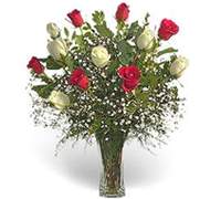 Envio y venta de flores a domicilio en la ciudad de Buenos Aires y localidades del Gran Buenos Aires y delivery con florerias asociadas en todas las provincias de Argentina, Buenos Aires, la Pampa, Tucuman, La Rioja, Rio Negro, Entre Rios, Corrientes, Misiones, Neuquen, Chubut, Tierra del Fuego, Santa Cruz, San Luis, Mendoza, Cordoba, Jujuy, Formosa, Santiago del Estero, Salta, Chaco, Catamarca ,San Juan, y ademas realizamos el delivery de flores ,plantas y regalos a todas las ciudades de Argentina, Mar del Plata, C�rdoba, Buenos Aires, Santa Rosa, La Plata, Bella Vista, Neuquen, Pilar, Parana, Posadas, Resistencia, Cipolleti y mas de 350 ciudades y localidades en todo el territorio de nuestro pais.
