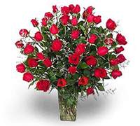 Envio y venta de flores a domicilio en la ciudad de Buenos Aires y localidades del Gran Buenos Aires y delivery con florerias asociadas en todas las provincias de Argentina, Buenos Aires, la Pampa, Tucuman, La Rioja, Rio Negro, Entre Rios, Corrientes, Misiones, Neuquen, Chubut, Tierra del Fuego, Santa Cruz, San Luis, Mendoza, Cordoba, Jujuy, Formosa, Santiago del Estero, Salta, Chaco, Catamarca ,San Juan, y ademas realizamos el delivery de flores ,plantas y regalos a todas las ciudades de Argentina, Mar del Plata, C�rdoba, Buenos Aires, Santa Rosa, La Plata, Bella Vista, Neuquen, Pilar, Parana, Posadas, Resistencia, Cipolleti y mas de 350 ciudades y localidades en todo el territorio de nuestro pais.