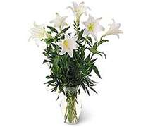 Envio y venta de flores a domicilio en la ciudad de Buenos Aires y localidades del Gran Buenos Aires y delivery con florerias asociadas en todas las provincias de Argentina, Buenos Aires, la Pampa, Tucuman, La Rioja, Rio Negro, Entre Rios, Corrientes, Misiones, Neuquen, Chubut, Tierra del Fuego, Santa Cruz, San Luis, Mendoza, Cordoba, Jujuy, Formosa, Santiago del Estero, Salta, Chaco, Catamarca ,San Juan, y ademas realizamos el delivery de flores ,plantas y regalos a todas las ciudades de Argentina, Mar del Plata, C�rdoba, Buenos Aires, Santa Rosa, La Plata, Bella Vista, Neuquen, Pilar, Parana, Posadas, Resistencia, Cipolleti y mas de 350 ciudades y localidades en todo el territorio de nuestro pais.