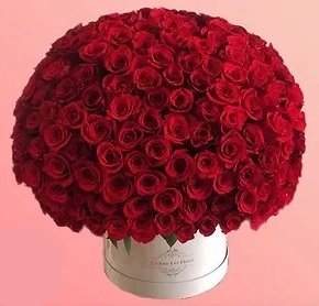 Envio y venta de flores ,rosas, plantas,arreglos florales ,regalos y desayunos a domicilio con delivery gratis en la Ciudad Autonoma de Buenos Aires y con costo de envo en localidades del Gran Buenos Aires asi como delivery de flores y plantas a travs de florerias asociadas en todas las provincias de la Argentina, Buenos Aires, la Pampa, Tucuman, La Rioja, Ro Negro, Entre Rios, Corrientes, Misiones, Neuquen, Chubut, Tierra del Fuego, Santa Cruz, San Luis, Mendoza, Cordoba, Jujuy, Formosa, Santiago del Estero, Salta, Chaco, Catamarca ,San Juan, y ademas realizamos el delivery de flores ,coronas,palmas , plantas y regalos a todas las ciudades de Argentina, Mar del Plata, Crdoba, Buenos Aires, con cargo en Santa Rosa, La Plata, Bella Vista, Neuquen, Pilar, Paran, Posadas, Resistencia, Cipolleti y mas de 300 ciudades y localidades en todo el territorio de nuestro pas, asi como tambien tenemos la posibilidad de enviar flores a casi todo el mundo en cuestion de horas