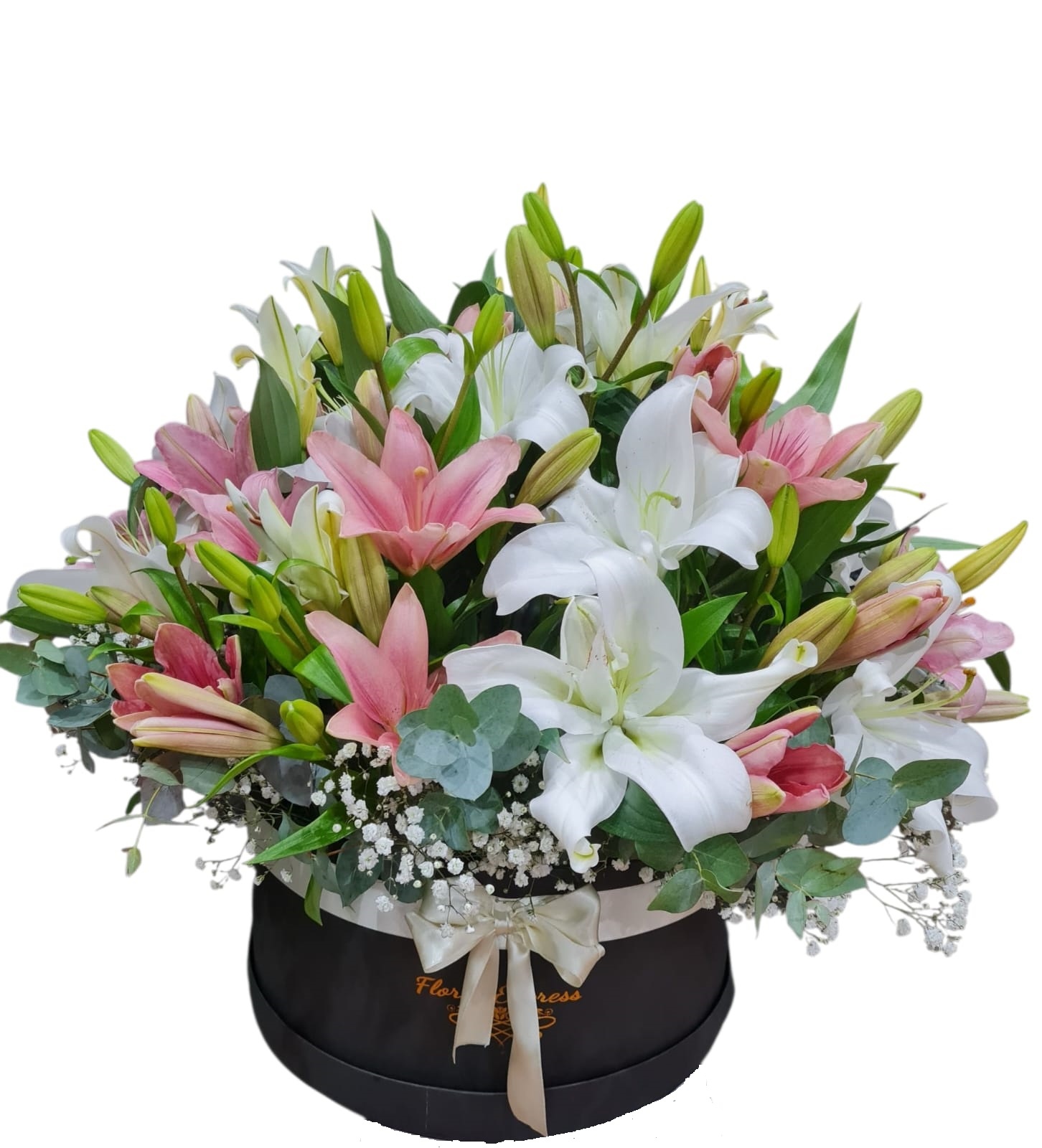 Envio y venta de flores ,rosas, plantas,arreglos florales ,regalos y desayunos a domicilio con delivery gratis en la Ciudad Autonoma de Buenos Aires y con costo de envo en localidades del Gran Buenos Aires asi como delivery de flores y plantas a travs de florerias asociadas en todas las provincias de la Argentina, Buenos Aires, la Pampa, Tucuman, La Rioja, Ro Negro, Entre Rios, Corrientes, Misiones, Neuquen, Chubut, Tierra del Fuego, Santa Cruz, San Luis, Mendoza, Cordoba, Jujuy, Formosa, Santiago del Estero, Salta, Chaco, Catamarca ,San Juan, y ademas realizamos el delivery de flores ,coronas,palmas , plantas y regalos a todas las ciudades de Argentina, Mar del Plata, Crdoba, Buenos Aires, con cargo en Santa Rosa, La Plata, Bella Vista, Neuquen, Pilar, Paran, Posadas, Resistencia, Cipolleti y mas de 300 ciudades y localidades en todo el territorio de nuestro pas, asi como tambien tenemos la posibilidad de enviar flores a casi todo el mundo en cuestion de horas