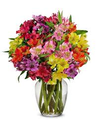 Envio y venta de flores ,rosas, plantas,arreglos florales ,regalos y desayunos a domicilio con delivery gratis en la Ciudad Autonoma de Buenos Aires y con costo de envo en localidades del Gran Buenos Aires asi como delivery de flores y plantas a travs de florerias asociadas en todas las provincias de la Argentina, Buenos Aires, la Pampa, Tucuman, La Rioja, Ro Negro, Entre Rios, Corrientes, Misiones, Neuquen, Chubut, Tierra del Fuego, Santa Cruz, San Luis, Mendoza, Cordoba, Jujuy, Formosa, Santiago del Estero, Salta, Chaco, Catamarca ,San Juan, y ademas realizamos el delivery de flores ,coronas,palmas , plantas y regalos a todas las ciudades de Argentina, Mar del Plata, Crdoba, Buenos Aires, con cargo en Santa Rosa, La Plata, Bella Vista, Neuquen, Pilar, Paran, Posadas, Resistencia, Cipolleti y mas de 300 ciudades y localidades en todo el territorio de nuestro pas, asi como tambien tenemos la posibilidad de enviar flores a casi todo el mundo en cuestion de horas