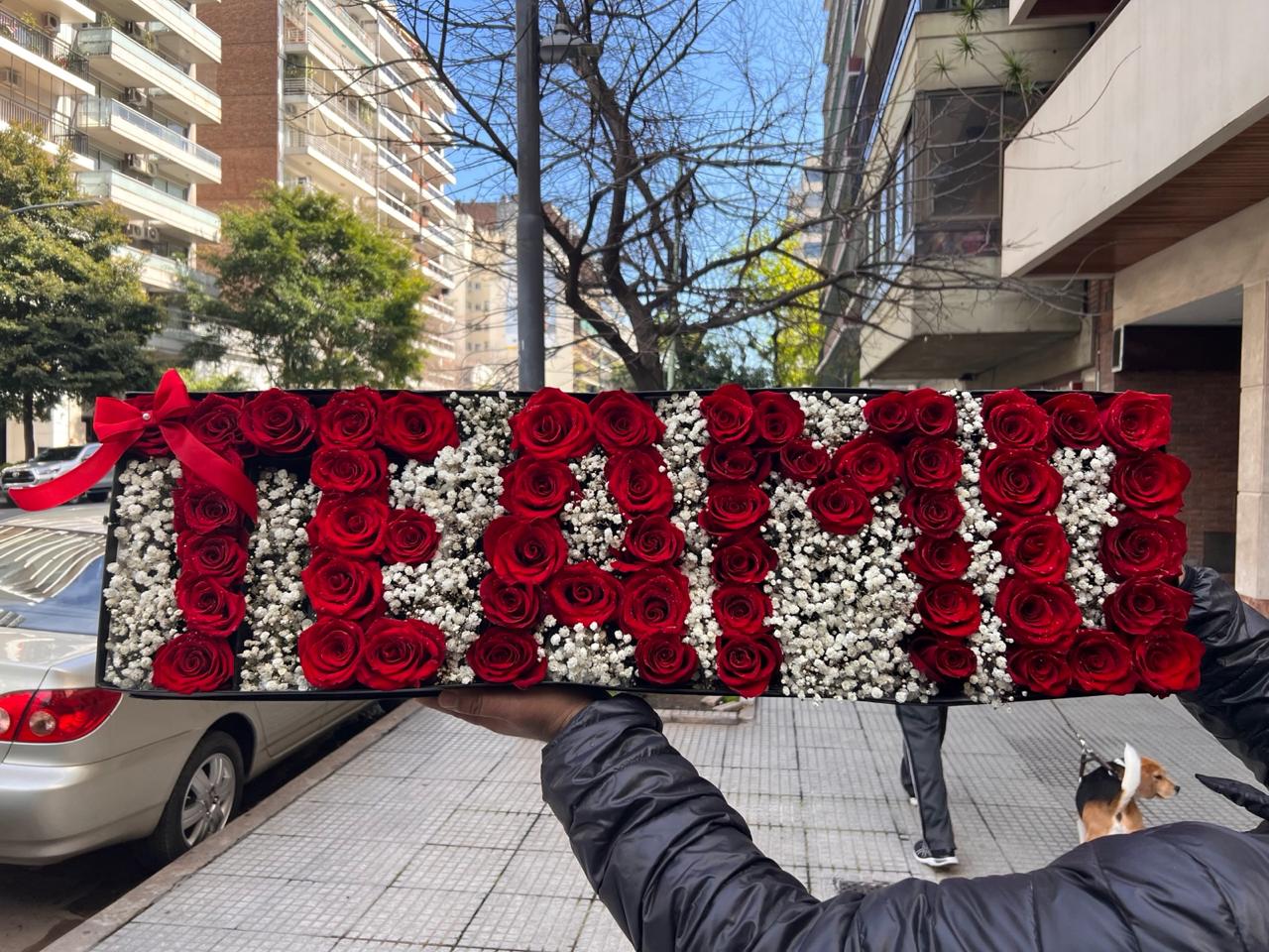 Envio y venta de flores ,rosas, plantas,arreglos florales ,regalos y desayunos a domicilio con delivery gratis en la Ciudad Autonoma de Buenos Aires y con costo de envo en localidades del Gran Buenos Aires asi como delivery de flores y plantas a travs de florerias asociadas en todas las provincias de la Argentina, Buenos Aires, la Pampa, Tucuman, La Rioja, Ro Negro, Entre Rios, Corrientes, Misiones, Neuquen, Chubut, Tierra del Fuego, Santa Cruz, San Luis, Mendoza, Cordoba, Jujuy, Formosa, Santiago del Estero, Salta, Chaco, Catamarca ,San Juan, y ademas realizamos el delivery de flores ,coronas,palmas , plantas y regalos a todas las ciudades de Argentina, Mar del Plata, Crdoba, Buenos Aires, con cargo en Santa Rosa, La Plata, Bella Vista, Neuquen, Pilar, Paran, Posadas, Resistencia, Cipolleti y mas de 300 ciudades y localidades en todo el territorio de nuestro pas, asi como tambien tenemos la posibilidad de enviar flores a casi todo el mundo en cuestion de horas