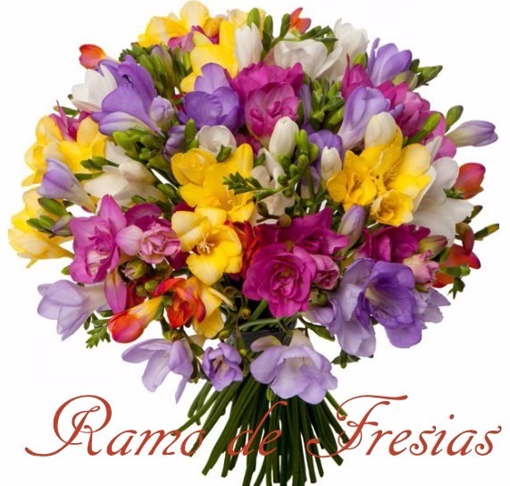 Envio y venta de flores ,rosas, plantas,arreglos florales ,regalos y desayunos a domicilio con delivery gratis en la Ciudad Autonoma de Buenos Aires y con costo de envo en localidades del Gran Buenos Aires asi como delivery de flores y plantas a travs de florerias asociadas en todas las provincias de la Argentina, Buenos Aires, la Pampa, Tucuman, La Rioja, Ro Negro, Entre Rios, Corrientes, Misiones, Neuquen, Chubut, Tierra del Fuego, Santa Cruz, San Luis, Mendoza, Cordoba, Jujuy, Formosa, Santiago del Estero, Salta, Chaco, Catamarca ,San Juan, y ademas realizamos el delivery de flores ,coronas,palmas , plantas y regalos a todas las ciudades de Argentina, Mar del Plata, Crdoba, Buenos Aires, con cargo en Santa Rosa, La Plata, Bella Vista, Neuquen, Pilar, Paran, Posadas, Resistencia, Cipolleti y mas de 300 ciudades y localidades en todo el territorio de nuestro pas, asi como tambien tenemos la posibilidad de enviar flores a casi todo el mundo en cuestion de horas