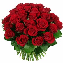 Envio y venta de flores ,rosas, plantas,arreglos florales ,regalos y desayunos a domicilio con delivery gratis en la Ciudad Autonoma de Buenos Aires y con costo de env�o en localidades del Gran Buenos Aires asi como delivery de flores y plantas a trav�s de florerias asociadas en todas las provincias de la Argentina, Buenos Aires, la Pampa, Tucuman, La Rioja, R�o Negro, Entre Rios, Corrientes, Misiones, Neuquen, Chubut, Tierra del Fuego, Santa Cruz, San Luis, Mendoza, Cordoba, Jujuy, Formosa, Santiago del Estero, Salta, Chaco, Catamarca ,San Juan, y ademas realizamos el delivery de flores ,coronas,palmas , plantas y regalos a todas las ciudades de Argentina, Mar del Plata, C�rdoba, Buenos Aires, con cargo en Santa Rosa, La Plata, Bella Vista, Neuquen, Pilar, Paran�, Posadas, Resistencia, Cipolleti y mas de 300 ciudades y localidades en todo el territorio de nuestro pa�s, asi como tambien tenemos la posibilidad de enviar flores a casi todo el mundo en cuestion de horas